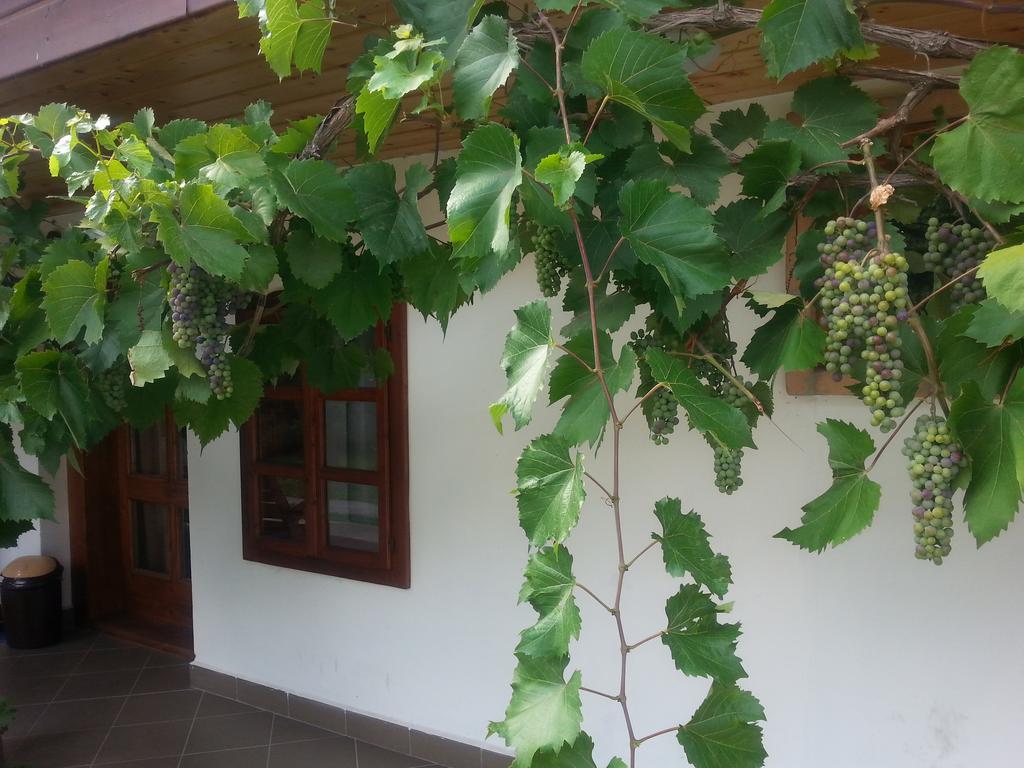 Lugas Vendeghaz Hotel Felsotold ภายนอก รูปภาพ